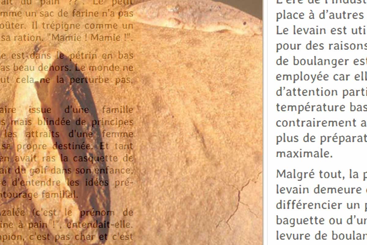 Le Pain Au Levain - Récits